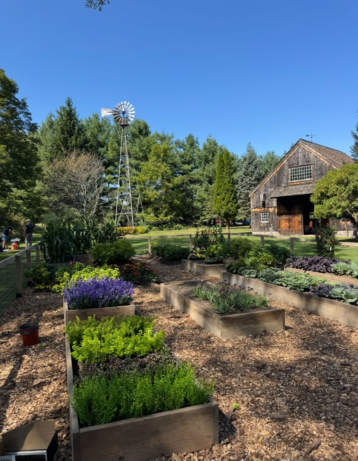 Garden at The Barn